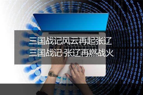三国战记风云再起张辽　三国战记·张辽再燃战火