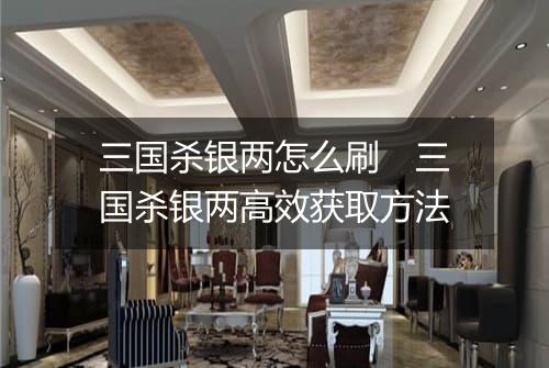 三国杀银两怎么刷　三国杀银两高效获取方法