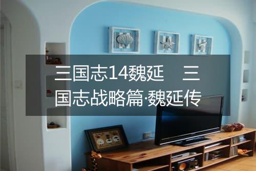 三国志14魏延　三国志战略篇·魏延传