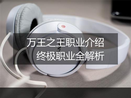 万王之王职业介绍　终极职业全解析
