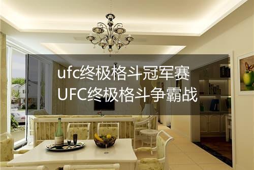 ufc终极格斗冠军赛　UFC终极格斗争霸战