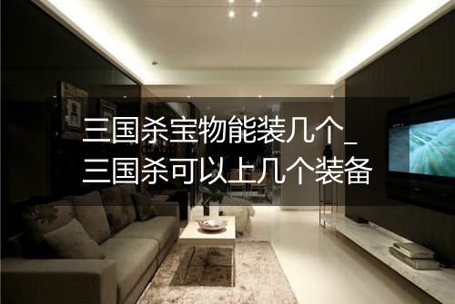 三国杀宝物能装几个_三国杀可以上几个装备