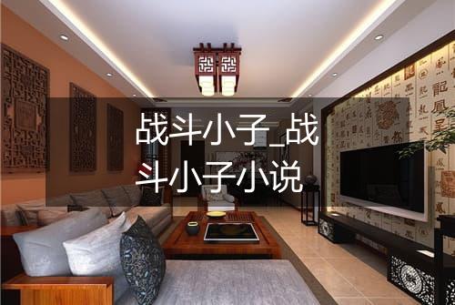 战斗小子_战斗小子小说