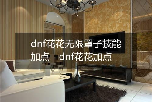 dnf花花无限罩子技能加点　dnf花花加点