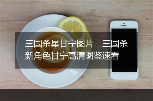 三国杀星甘宁图片　三国杀新角色甘宁高清图鉴速看